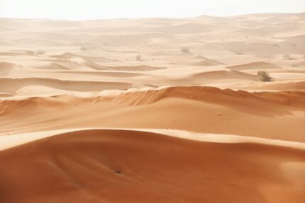 Dubai desert dunes