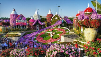 Dubai Miracle Garden and Global Village tour