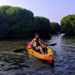 Mangrove kayaking