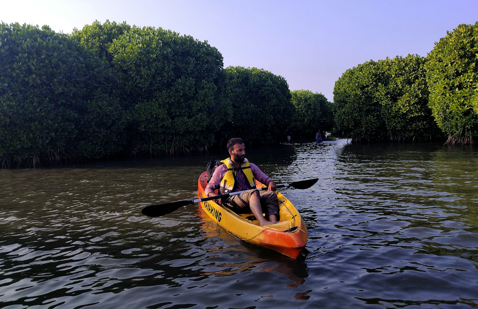 Mangrove kayaking