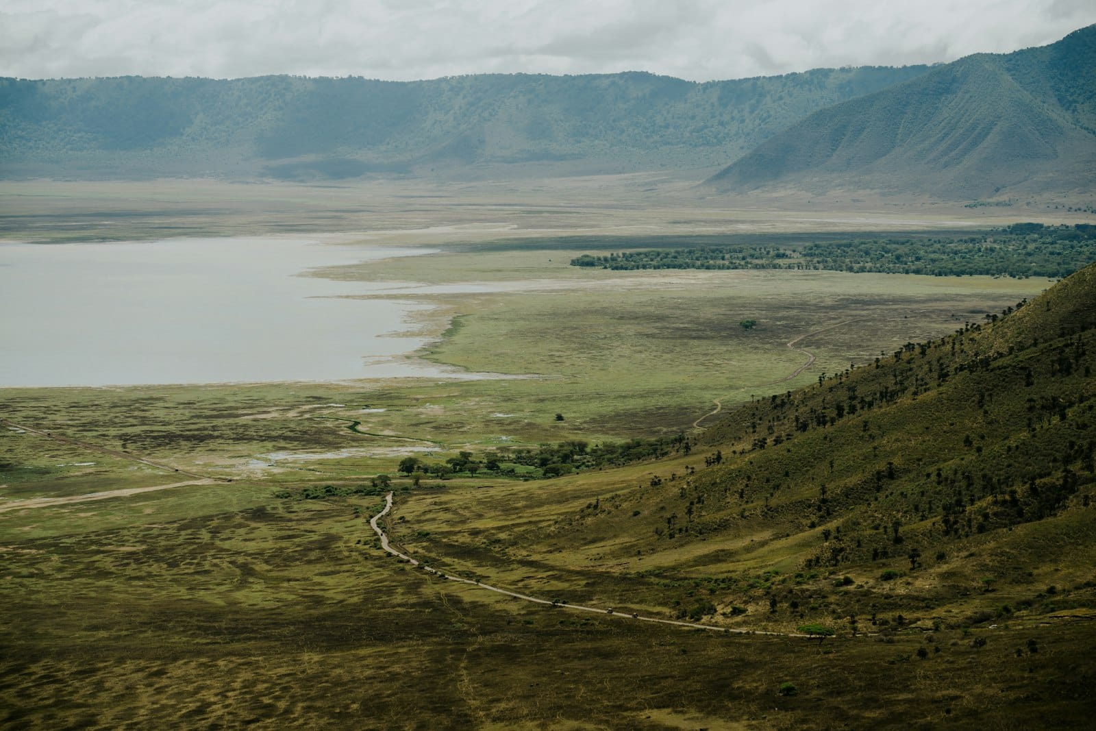 Ngorongoro crater