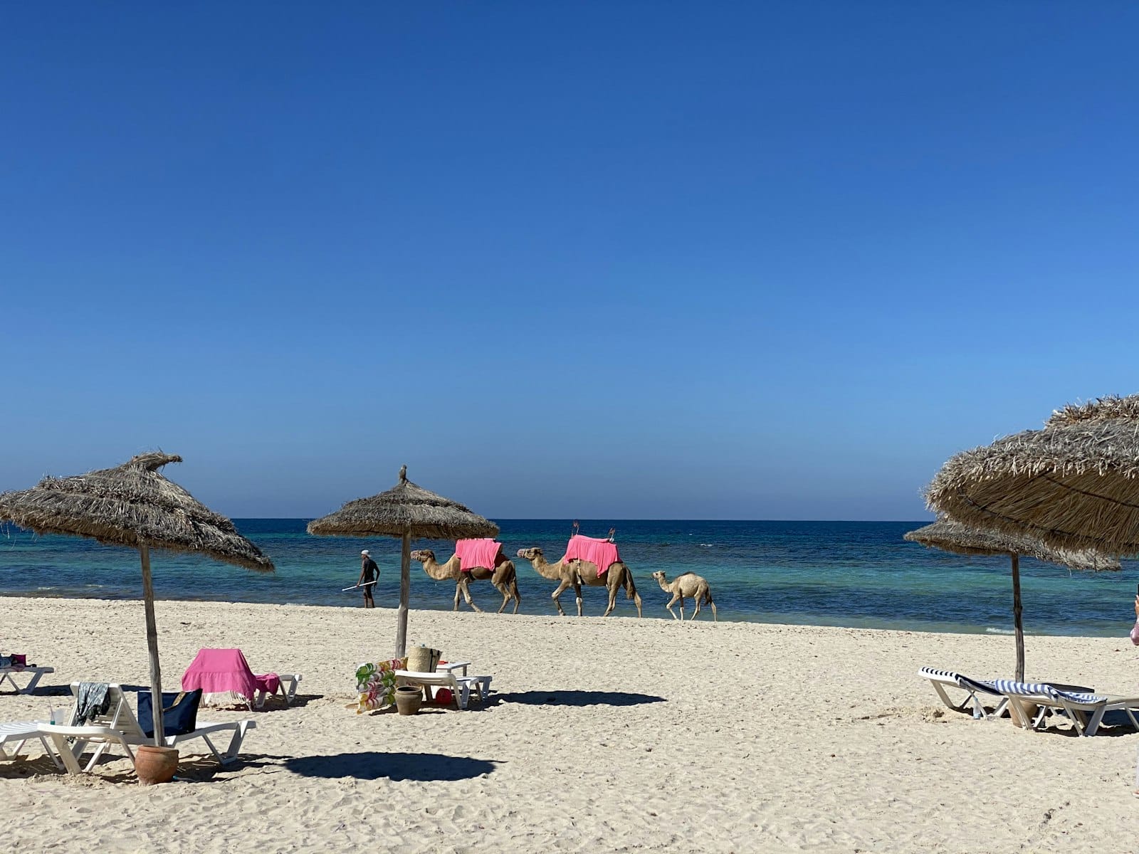 people on beach during daytime
