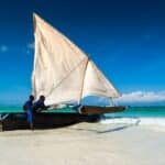 man in black shirt sitting on white and brown sail boat on sea shore during dayt